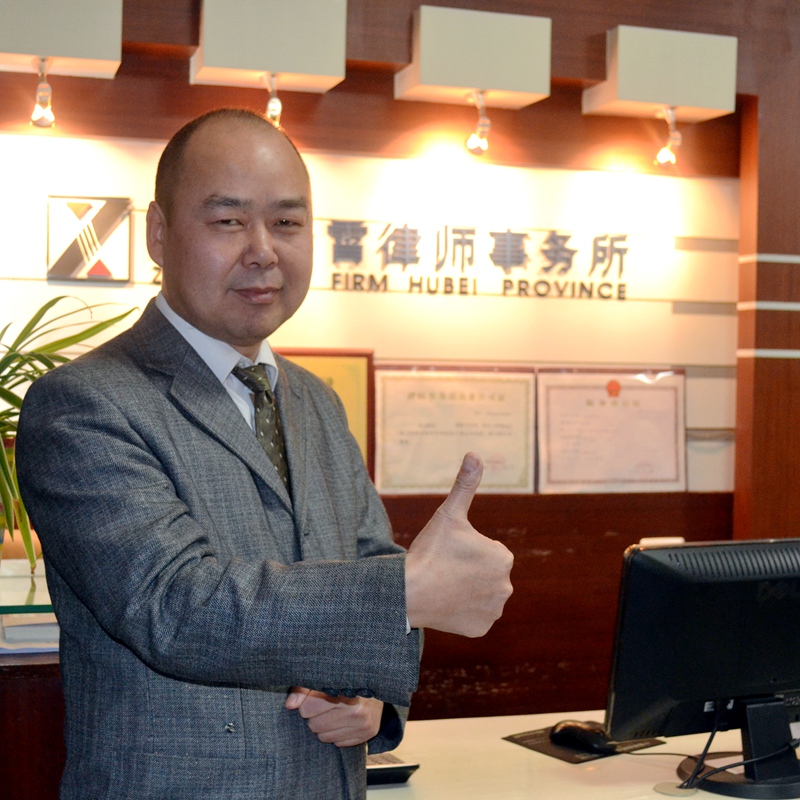 陈某梅与杨某房屋租赁合同纠纷二审民事判决书